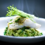 Spring Pea Risotto with Halibut, Spanish Chorizo and Mint | www.feastingathome.com