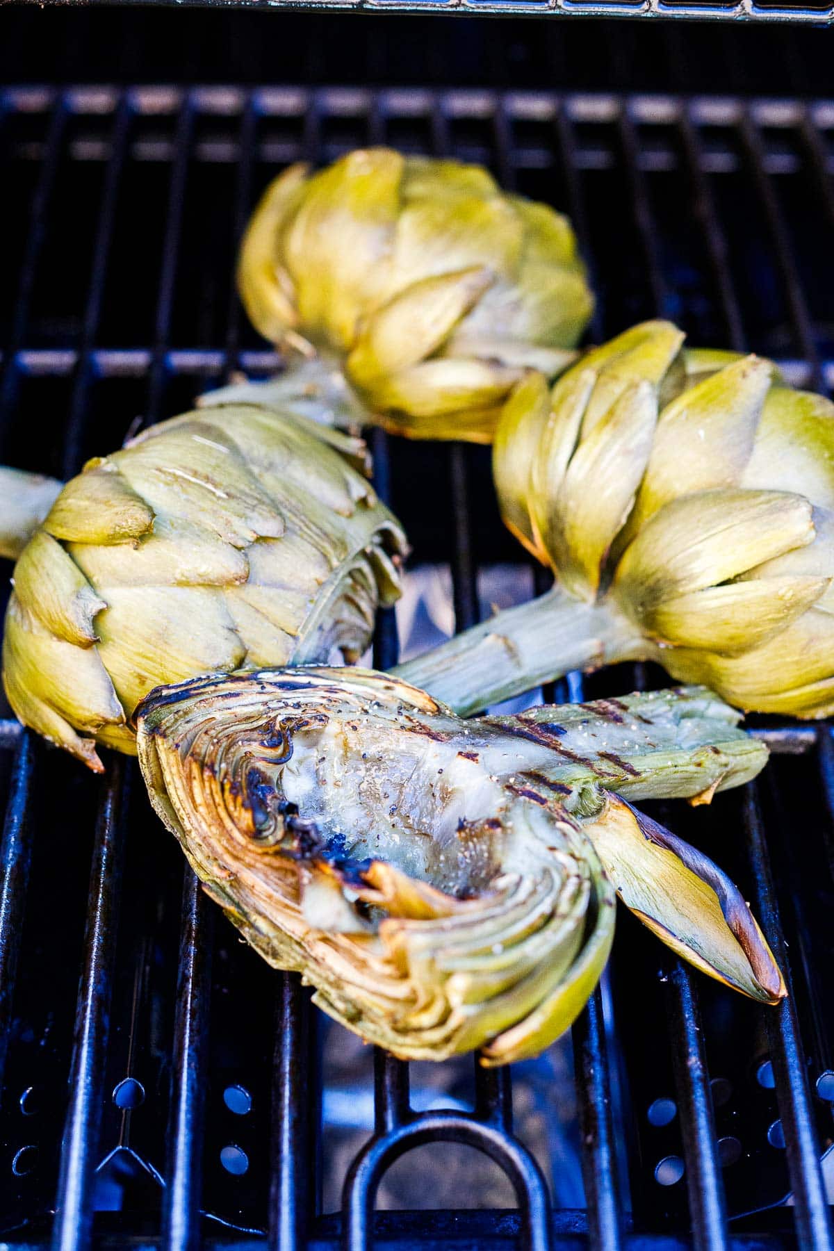 grilled artichokes face down on grill.