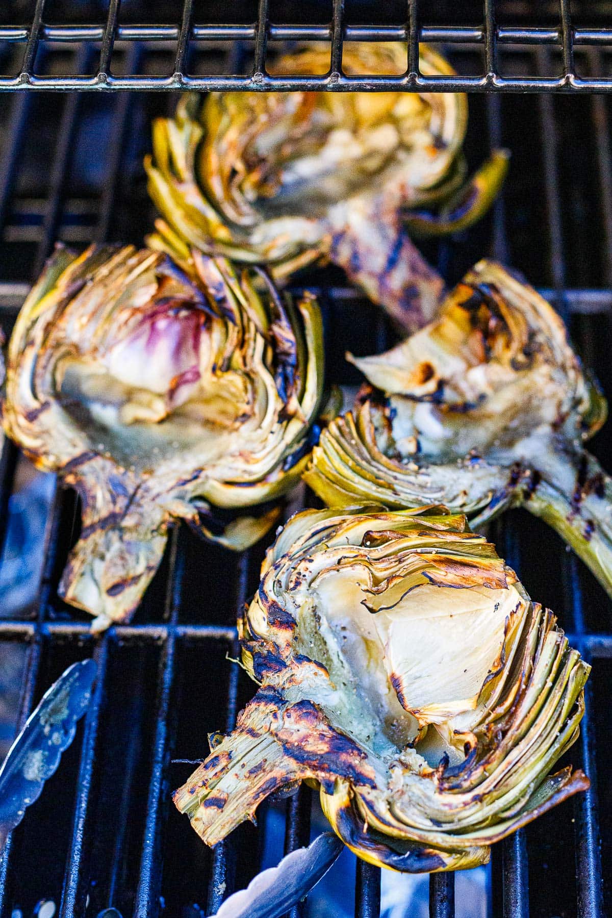 grilled artichokes face up on grill with grill marks.