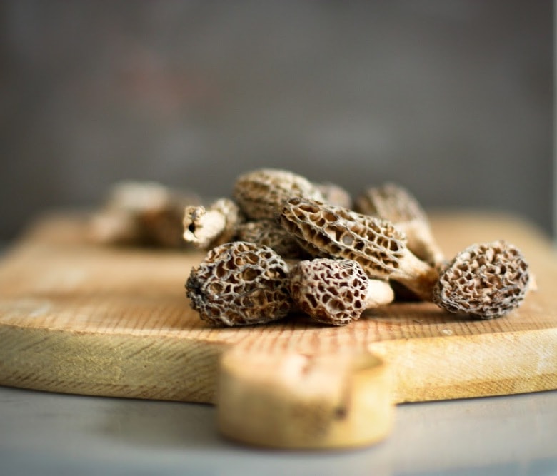 Morel Mushrooms 