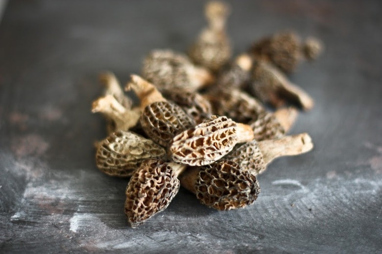 Morel Mushrooms