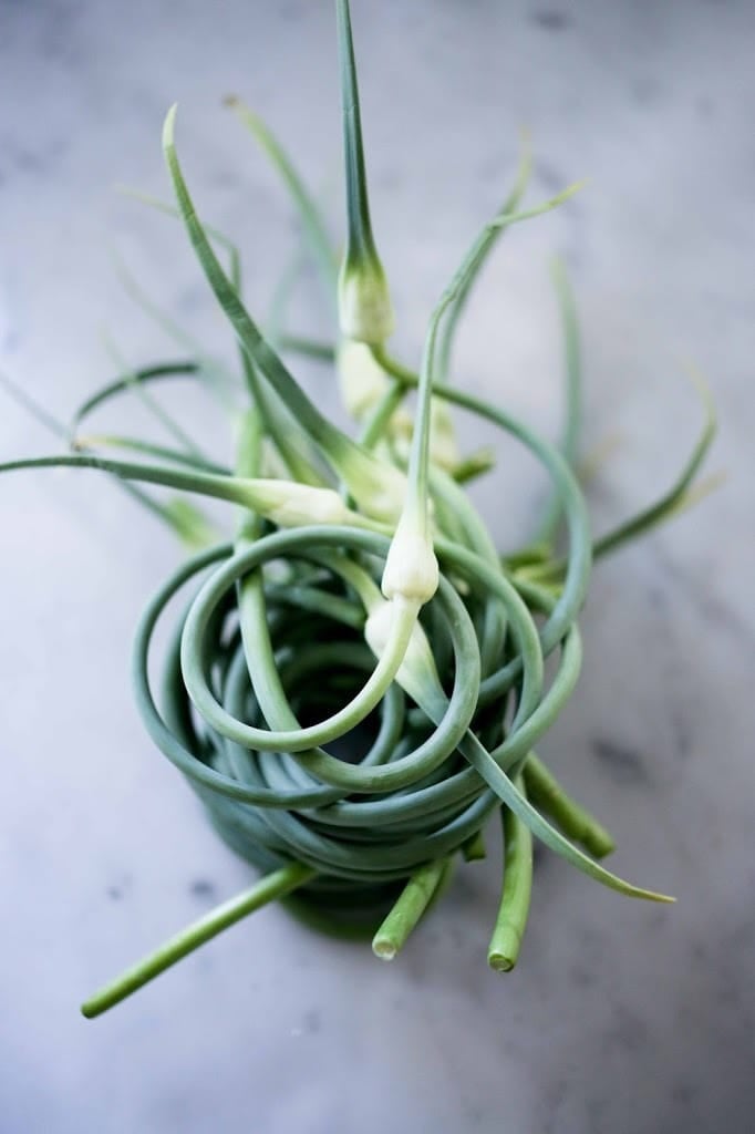 garlic scapes 