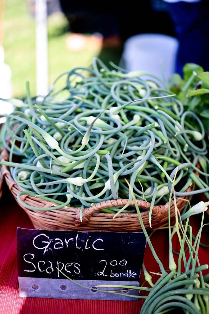 Garlic scapes