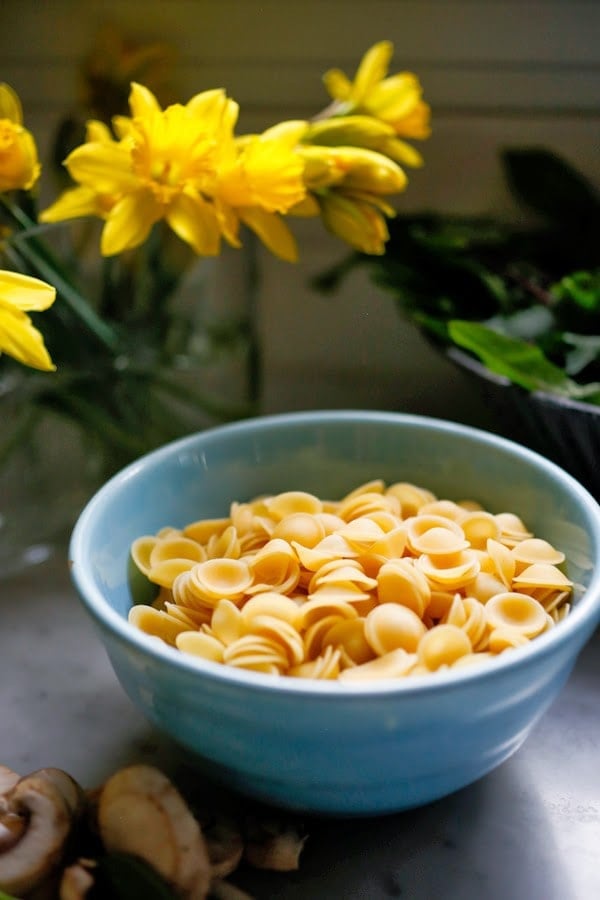 Spring Pasta Carbonara with Fresh Peas, Asparagus and Burrata with Orchetti - aka, "little ear" pasta) in a light carbonara sauce. | www.featstingathome.com 