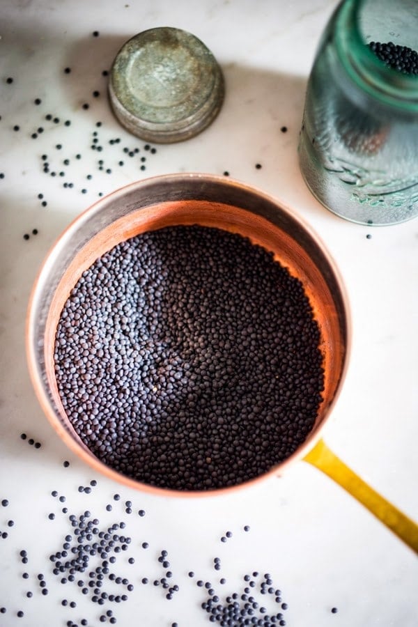 PNW co op black beluga lentils
