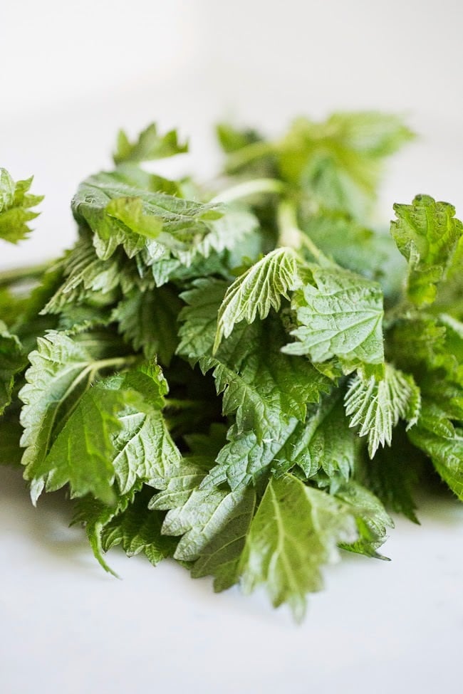 Nettle Pesto Pasta with toasted pine nuts and lemon zest | www.feastingathome.com