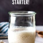 How to make your own Sourdough Starter, using simple ingredients with no special equipment, in 5-8 days, that can be used in crusty bread, pizza dough, waffles, pancakes, and rolls- instead of using yeast. #sourdoughstarter #starter #yeastless