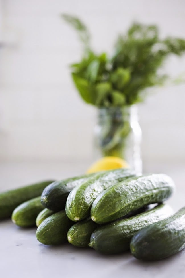 Turkish-inspired Creamy Cucumber Salad made with dill and mint in a creamy yogurt dressing. Cool and refreshing this herby lemony summer salad pairs well with grilled meats or fish, or falafels! 