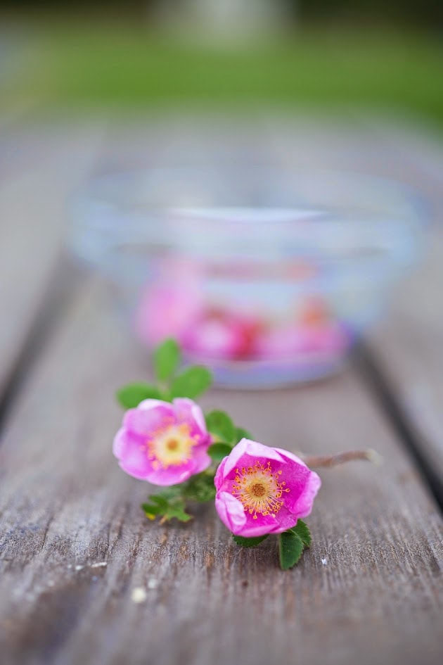 Homemade Rose Petal Jam- a simple delicious recipe made with wild rose petals, perfect on toast, scones or crepes, or spooned over ice-cream or cake. #rosepetaljam #rose #rosejam #roserecipes