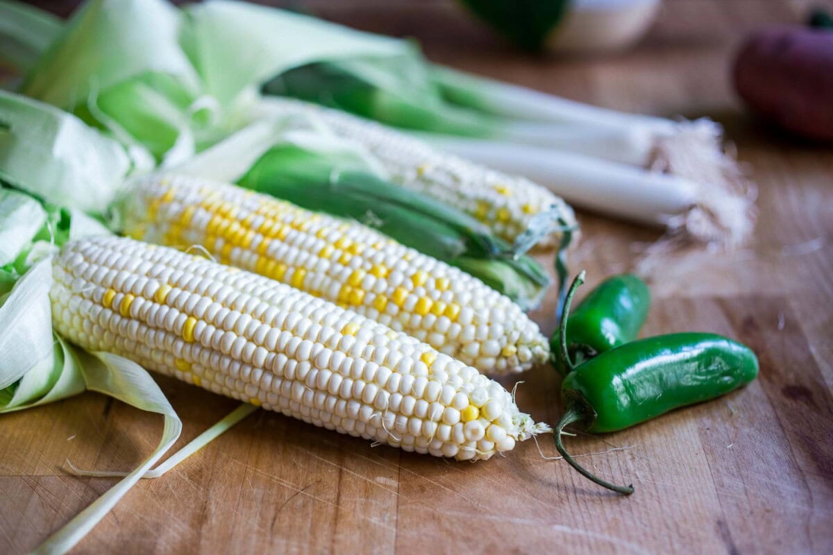 Fresh corn on the cob, on a counter. 