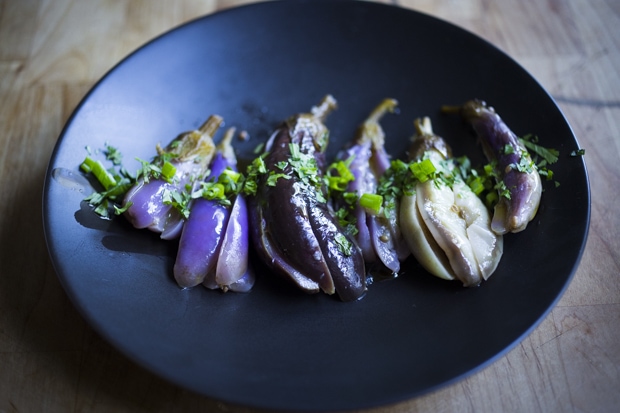 Have you tried some Scarlet Eggplant? : r/fermentation