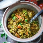Budda Bowl- A cleansing ayurvedic recipe for khichadi made with sprouted mung beans and kashi... healing and detoxing | From Feasting at Home Blog