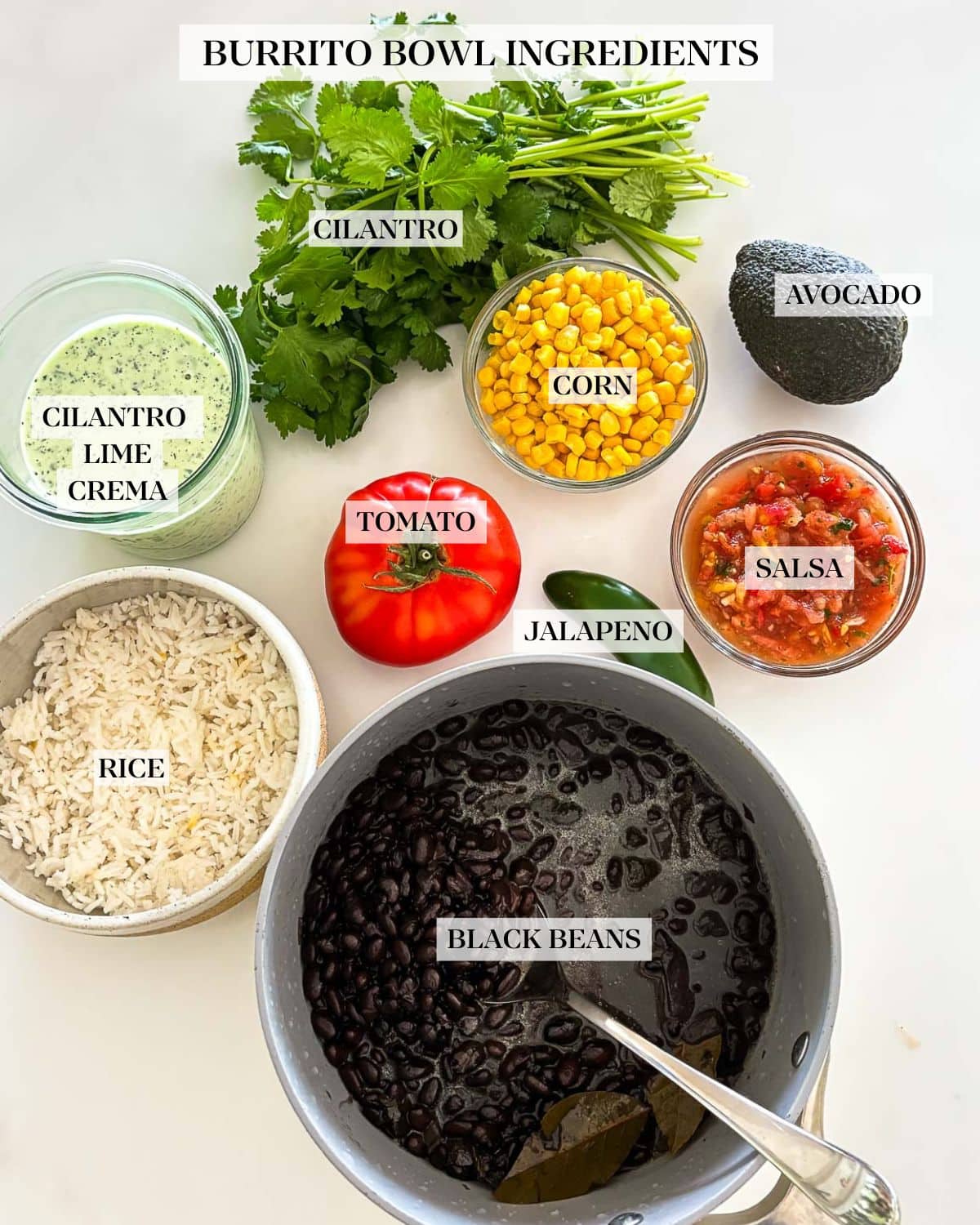 burrito bowl ingredients on a white counter: homemade black beans, rice, corn, avocado, tomato, salsa, cilantro jalapeno, and cilantro lime crema.