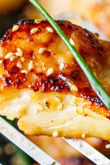 nobu's miso black cod recipe.