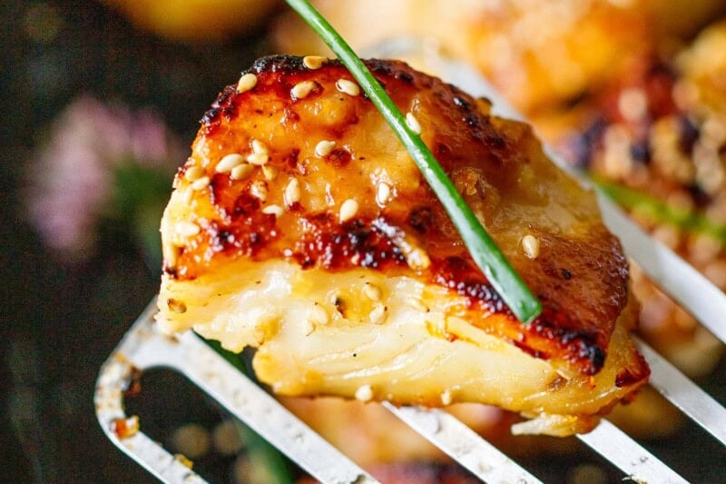 nobu's miso black cod recipe.