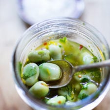 Simple Marinated Fava Beans