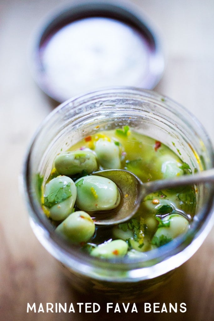 Wondering how to cook fava beans? These Simple Marinated Fava beans (with olive oil, vinegar, garlic, lemon zest, and fresh herbs) are one of my favorite ways to prepare them! Vegan, versatile and delicious!  Use these on toast or bruschetta, in salads or on cheese boards or Mezze platters! Easy and delicious! #fava #favabeans #freshfava #favabeanrecipes #howtocookfavabeans |www.feastingathome.com 