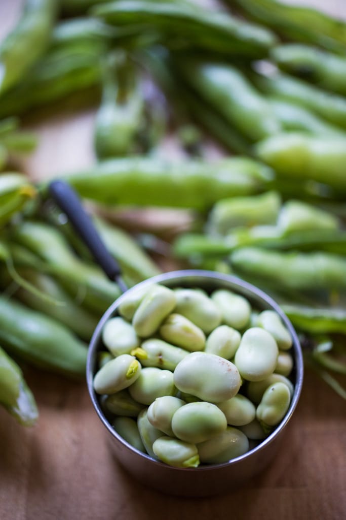 Wondering how to cook fava beans? These Simple Marinated Fava beans (with olive oil, vinegar, garlic, lemon zest, and fresh herbs) are one of my favorite ways to prepare them! Vegan, versatile and delicious!  Use these on toast or bruschetta, in salads or on cheese boards or Mezze platters! Easy and delicious! #fava #favabeans #freshfava #favabeanrecipes #howtocookfavabeans |www.feastingathome.com 