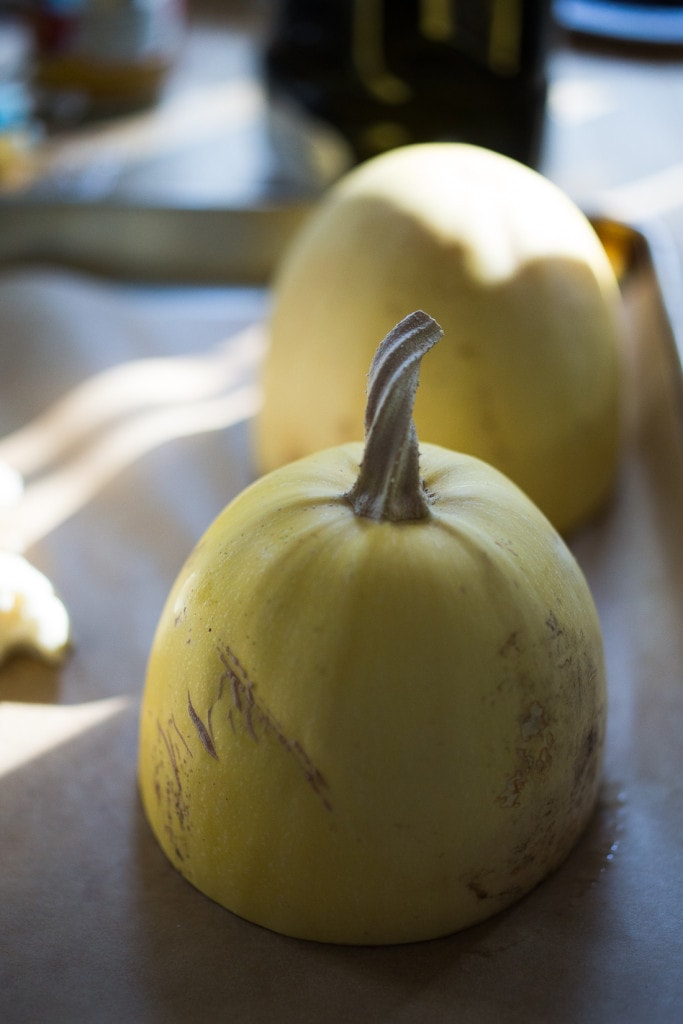 spaghetti squash-101-2