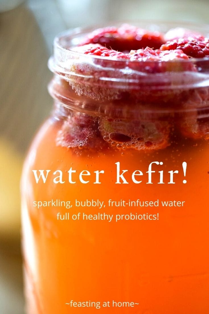 How to make WATER KEFIR | an easy Guide!