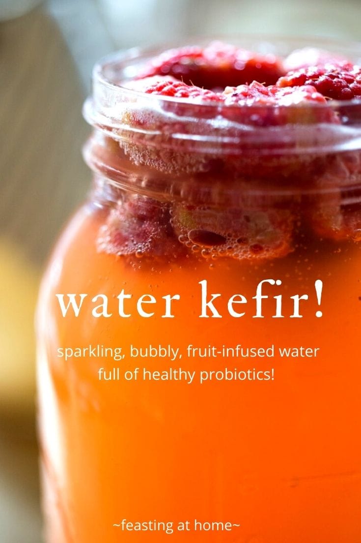 How to make WATER KEFIR! | An Easy Guide | Feasting at Home