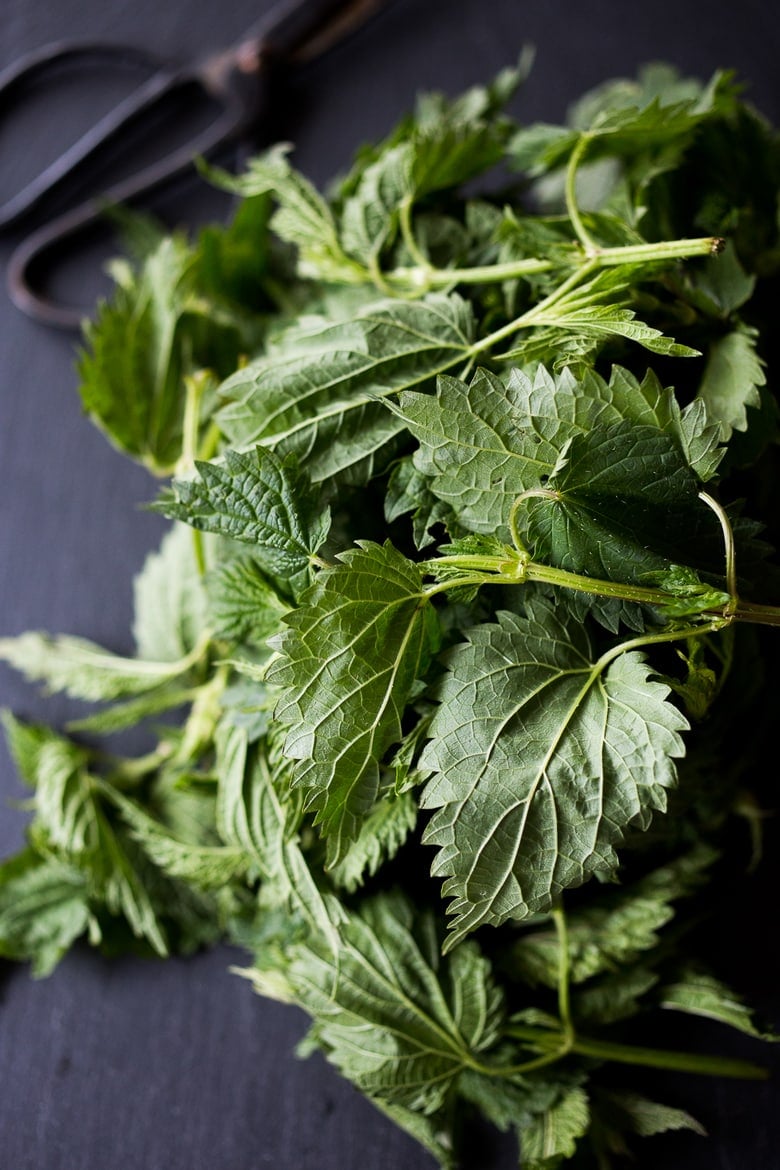 Vibrant, luscious Nettle Soup with Tarragon - a simple easy recipe, full of incredible health benefits and lovely flavor. A Scandinavian specialty to be enjoyed in late spring and early summer when nettles are aplenty. Vegan Adaptable! #nettles #nettlesoup #nettlesouprecipe #vegan #tarragon #healthysoup #springsoup #stingingnettle