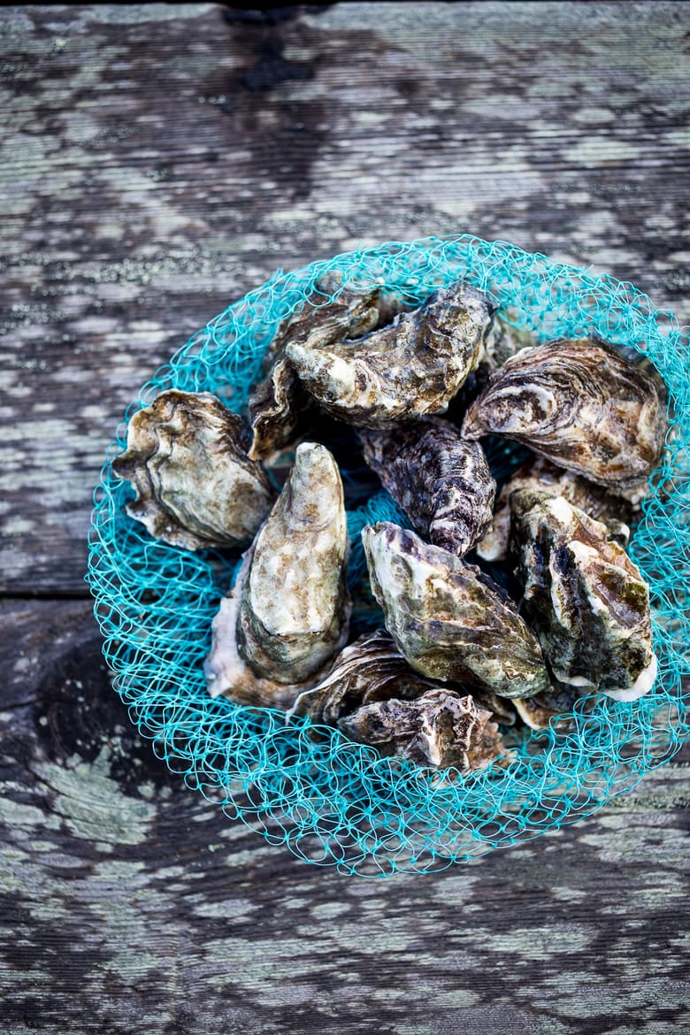  Fresh Oysters with Mustard Seed, Cucumber, Dill Mignonette