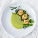 Seared Scallops with Spring Peas and Tarragon, a simple elegant dinner using fresh spring peas. | www.feastingathome.com