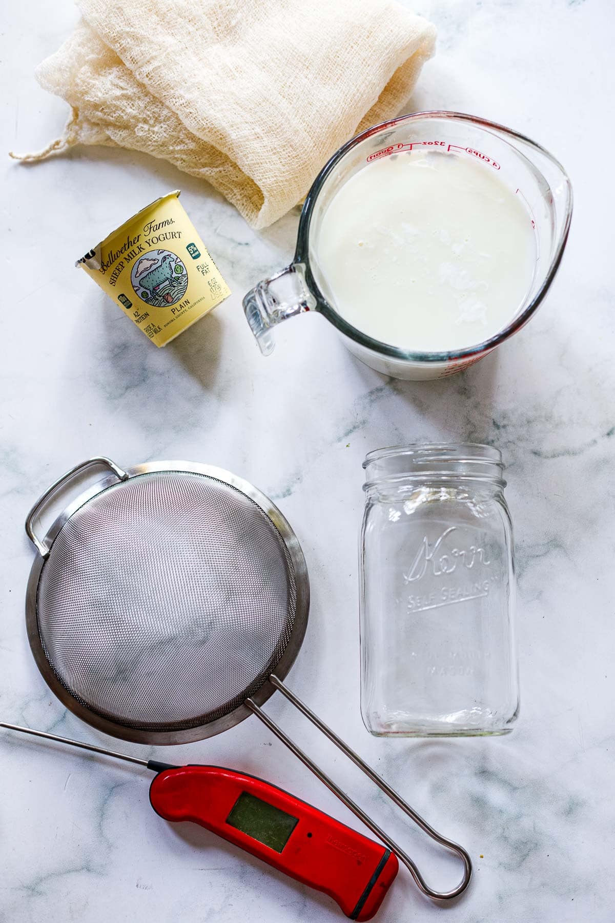 ingredients in homemade yogurt.