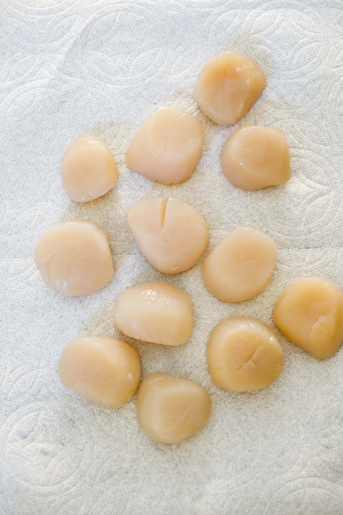 dry scallops laid out on paper towel.