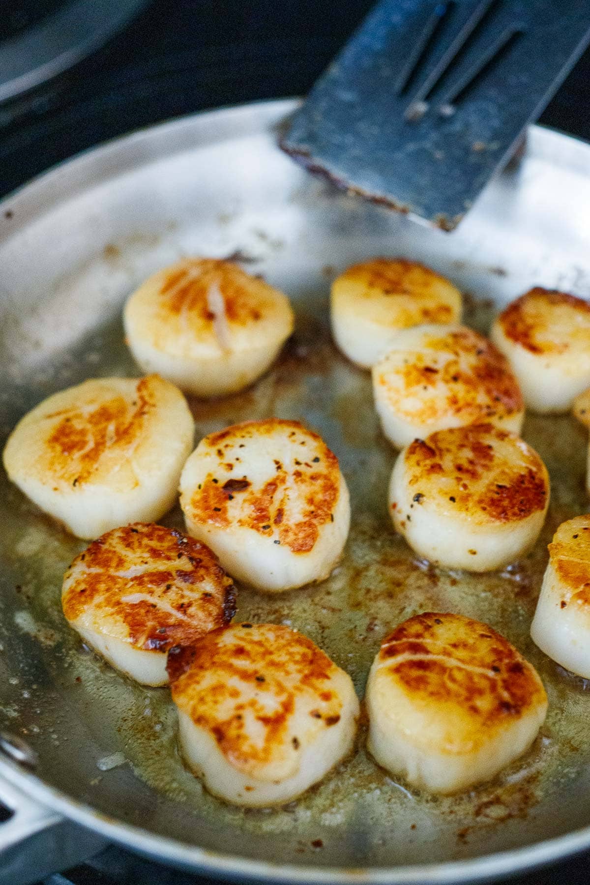 seared scallops in skillet.