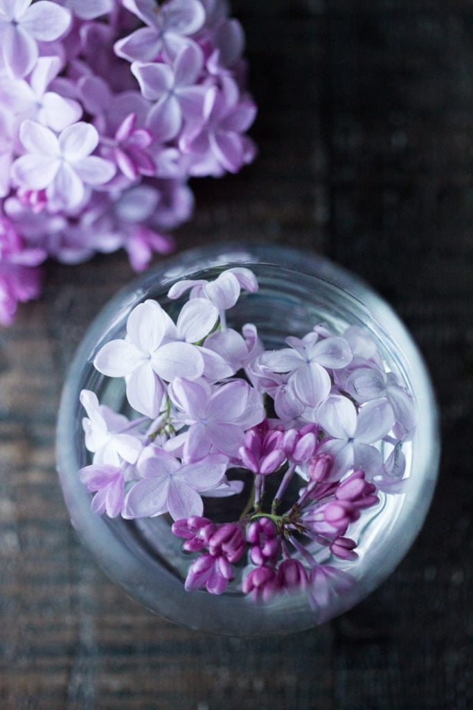 glass of water with lilac blossoms. 