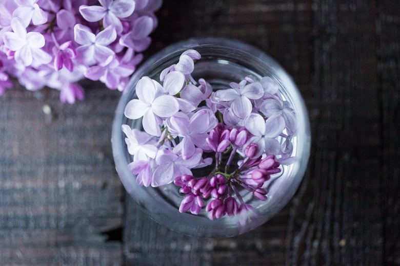 Lilac Water- water infused with lilac blossoms calms and restores the spirit. Perfect for weddings or celebrations, a lovely way to celebrate spring. | www.feastingathome.com #lilacwater