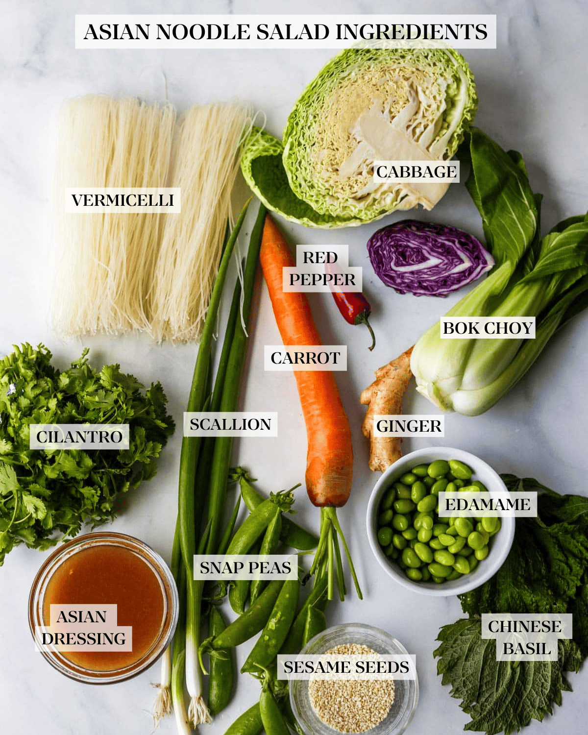 Asian noodle salad ingredients labeled - vermicelli, cabbage, red pepper, bok choy, carrot, scallion, cilantro, ginger, edamame, snap peas, Asian dressing, sesame seeds, Chinese basil.