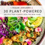 Welcome to Vegan January! Here is a list of our favorite plant-based recipes to restore the body and help recalibrate our cravings after the holidays.  Whether you are looking for vegan breakfast, lunch, dinner, salads, soups or treats -we have you covered. 