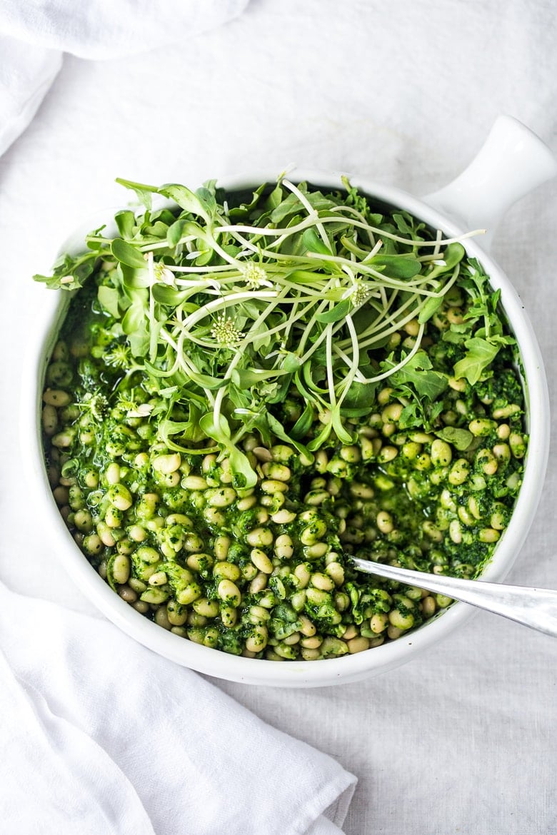 Cazuela de primavera Vert o estofado de frijoles blancos