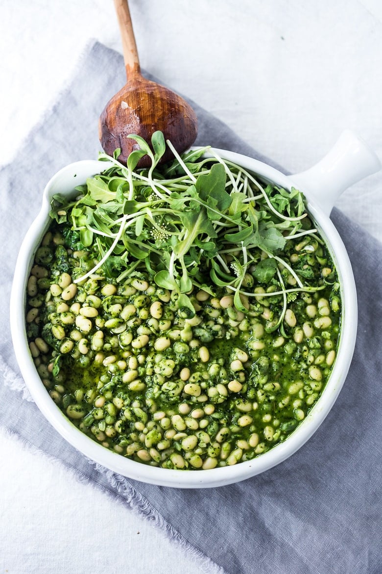 Cassoulet Vert - a modernized White Bean Stew with Lemony Kale Pesto that is meat-free and that can be made in an Instant Pot! Fast, healthy delicious and a worthy potluck idea!