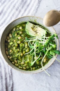 Cassoulet Vert - a modernized White Bean Stew with Lemony Kale Pesto that is meat-free and that can be made in an Instant Pot! Fast, healthy delicious! 