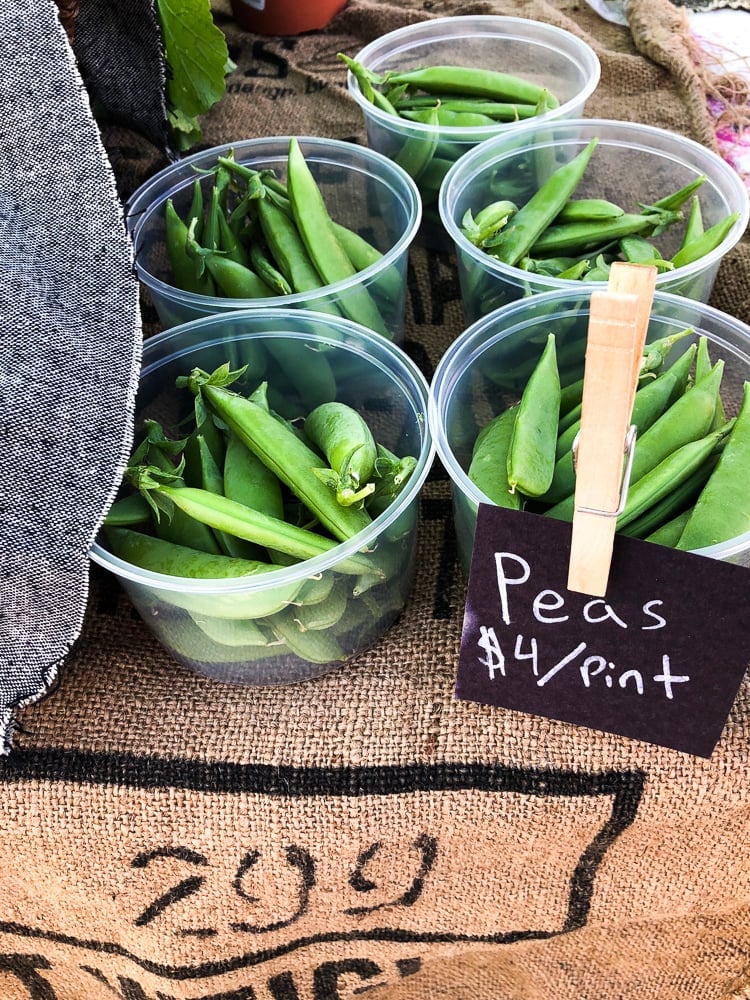 River City Youth Ops- Farmers market Stand