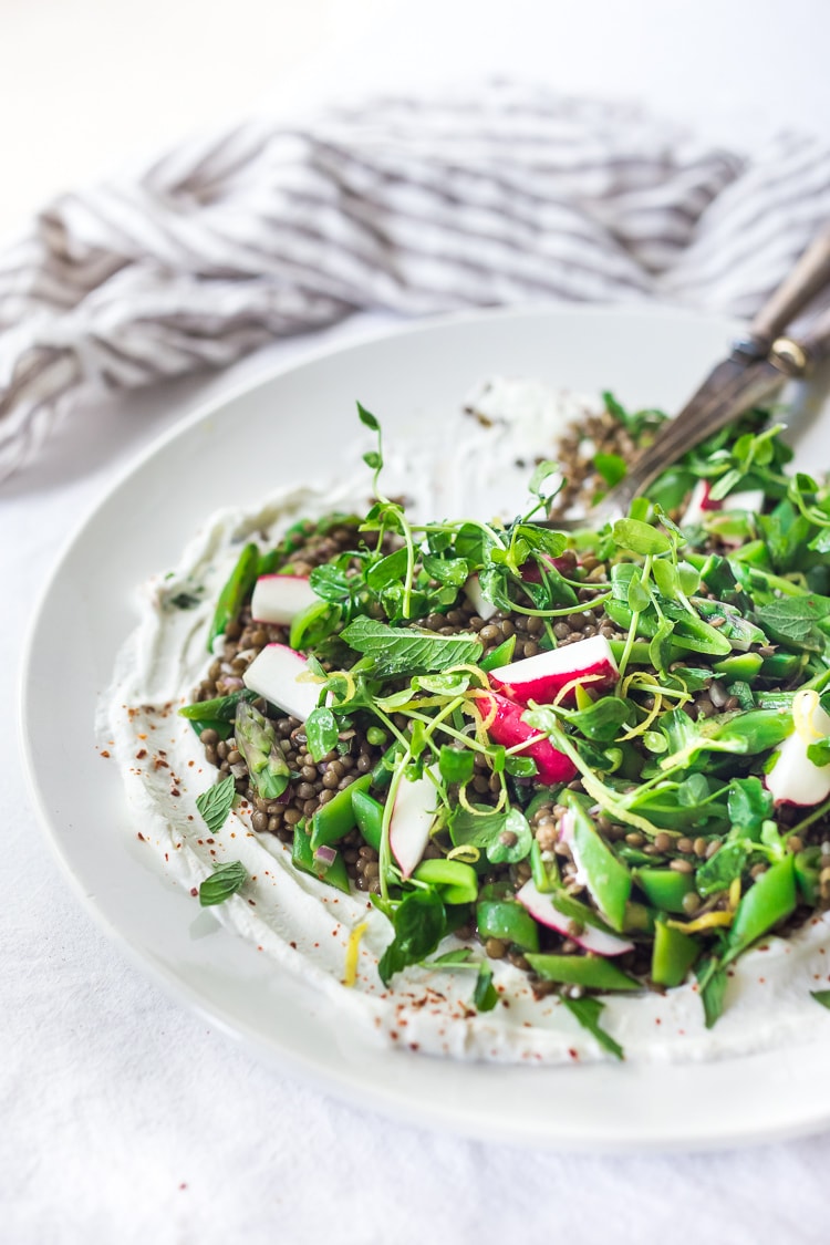 plate with creamy yogurt sauce topped with spring lentil salad, garnished with lemon zest, micro greens and mint.