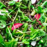 lentil salad with spring veggies and mint
