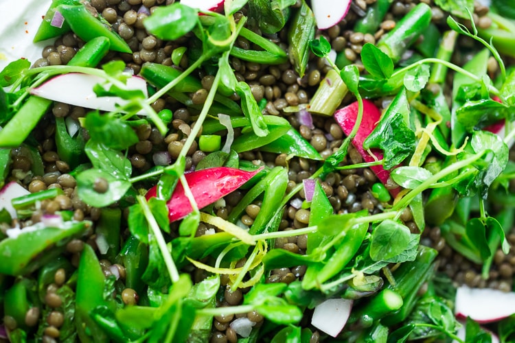 mixing spring lentil salad ingredients together - lentils, radishes, asparagus, snap peas, onion, micro greens.