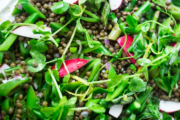 Lentil Salad with Spring Veggies, Mint and Yogurt Sauce -a delicious, healthy, Greek-inspired lentil salad recipe!  Vegan adaptable and Gluten-Free #lentils #lentilsalad #lentilsalad recipe #lentilrecipes #vegan #glutenfree