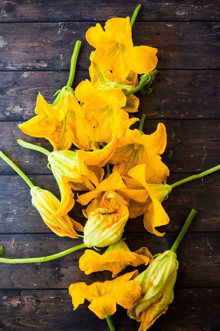 Baked Squash Blossoms with ground lamb, basmati rice and fragrant Middle Eastern spices - a simple delicious appetizer, or main course inspired by the season! Serve with Creamy Tzatziki Sauce! #squashblossoms #zuccinniblossoms #dolmas