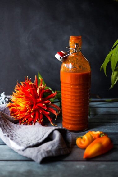 A simple delicious recipe for Fermented Hot Sauce using fresh summer chilies, with no special equipment and only 20 minutes of hands on time! #hotsauce #fermentedhotsauce #chilisauce