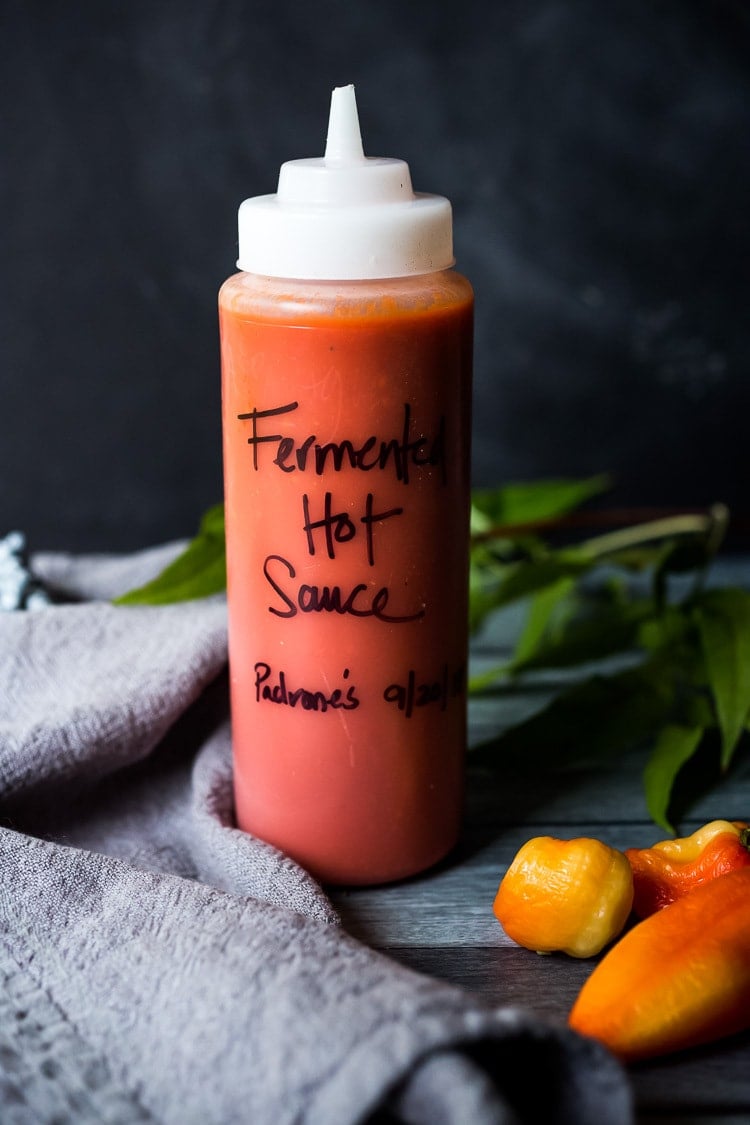 A simple delicious recipe for Fermented Hot Sauce using fresh summer chilies, with no special equipment and only 20 minutes of hands on time! #hotsauce #fermentedhotsauce #chilisauce