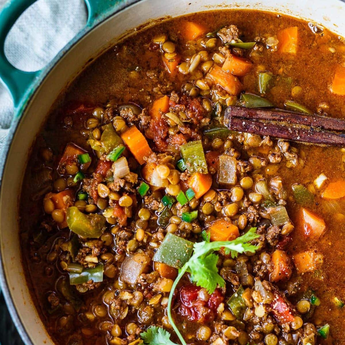 Crockpot Red Curry Lentils Recipe - Pinch of Yum