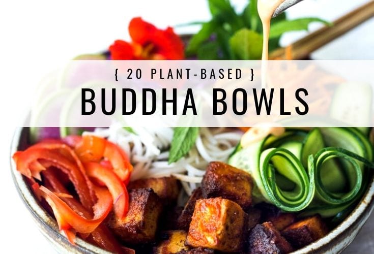 How To Build A Buddha Bowl 20 Buddha Bowl Recipes Feasting At Home