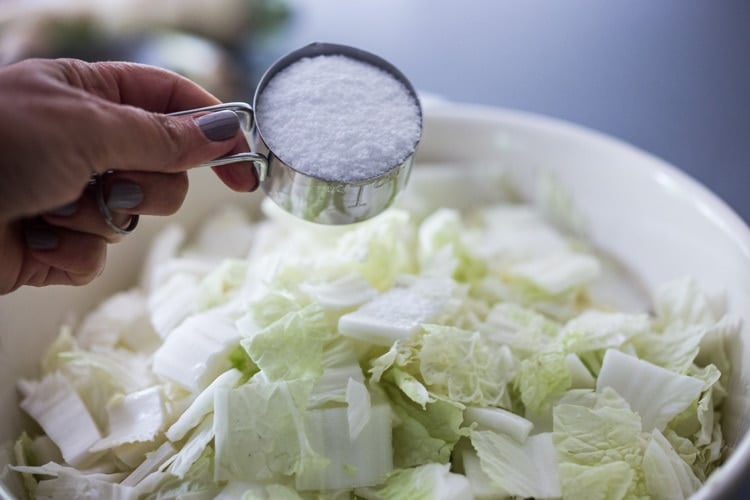 salting the napa cabbage in a bowl.