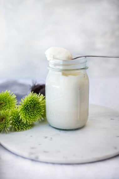Creamy Vegan Mayo! A fast and easy, low-fat recipe for homemade vegan mayonnaise (like Veganaise)! Healthy, easy and flavorful! #veganmayo #vegan #mayo #healthymayo #tofu #cleaneating #plantbased #eatclean